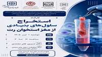 برگزاری کارگاه استخراج سلول های بنیادی از مغزاستخوان رت