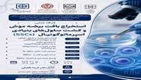 برگزاری کارگاه استخراج بافت بیضه موش و کشت سلول های بنیادی اسپرماتوگونیال (SSCs)